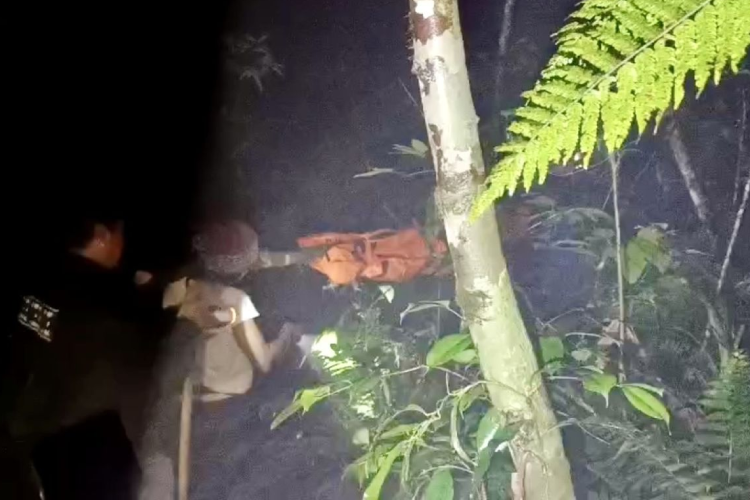 Pendaki Diduga Alami Hipotermia, Tewas di Puncak Gunung Pesagi